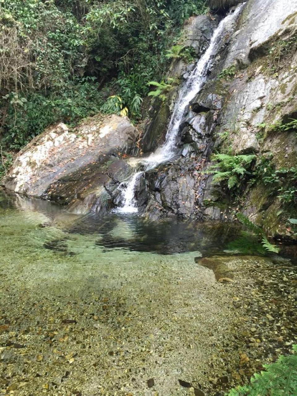 Glamping Finca Margaritas Pluma Hidalgo 外观 照片