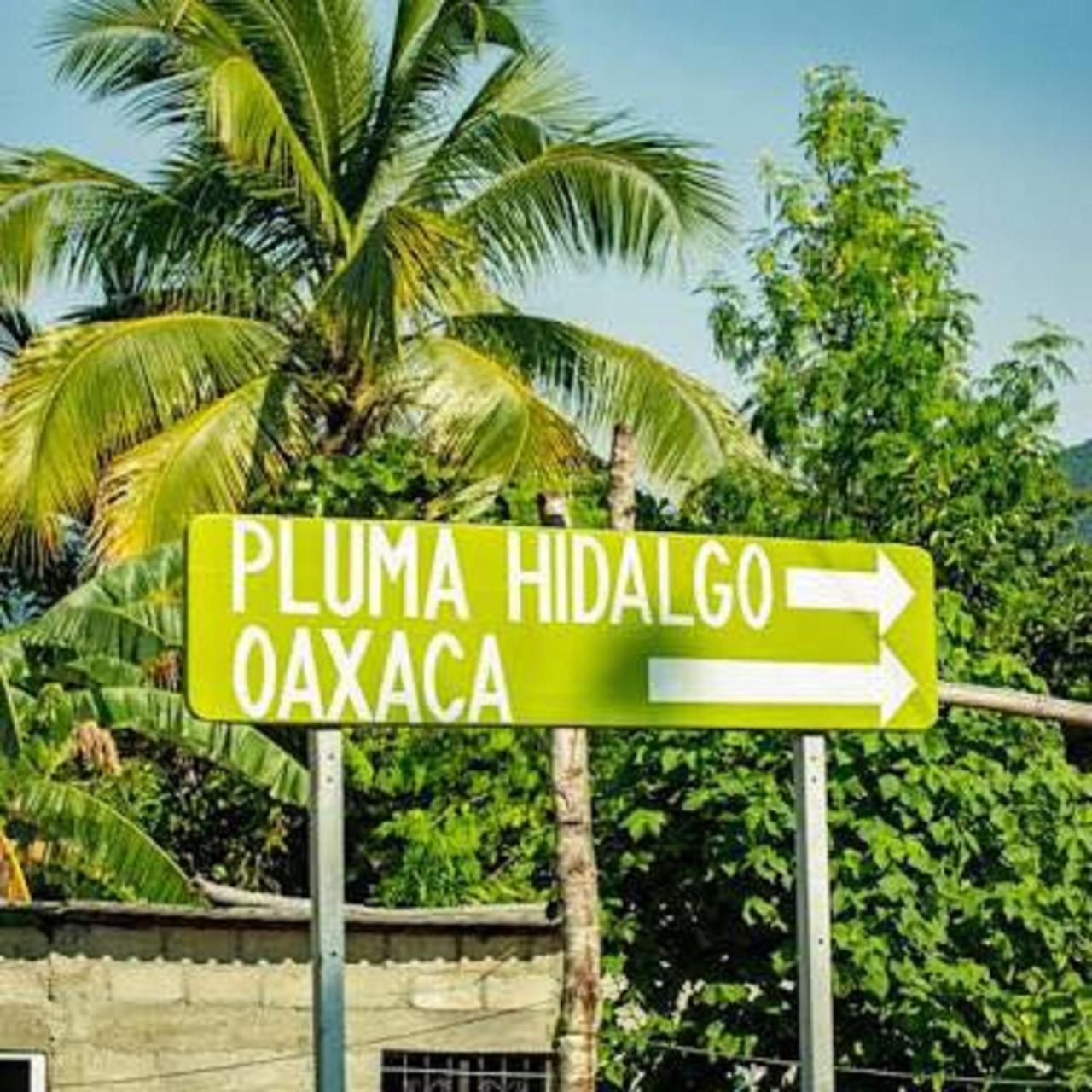 Glamping Finca Margaritas Pluma Hidalgo 外观 照片